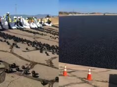 Por que Los Angeles jogou 96 milhões de bolas pretas na água potável