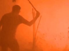 Ver: Un enorme incendio forestal amenaza a Portugal y devora miles de hectáreas